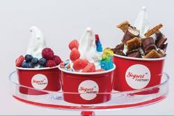 YOGURT FACTORY