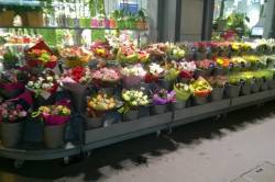MONCEAU FLEURS